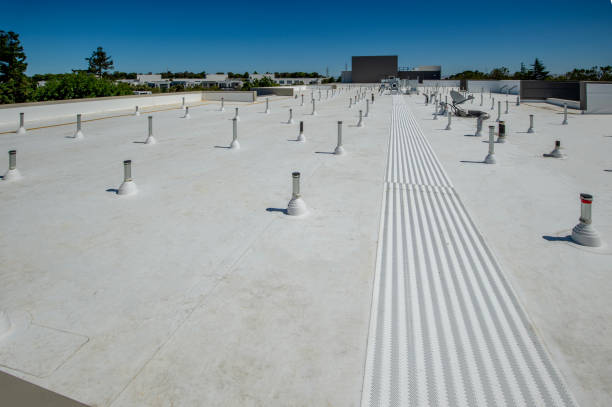 Professional Roofing Services in Peralta, NM